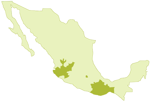 Map of Mexico