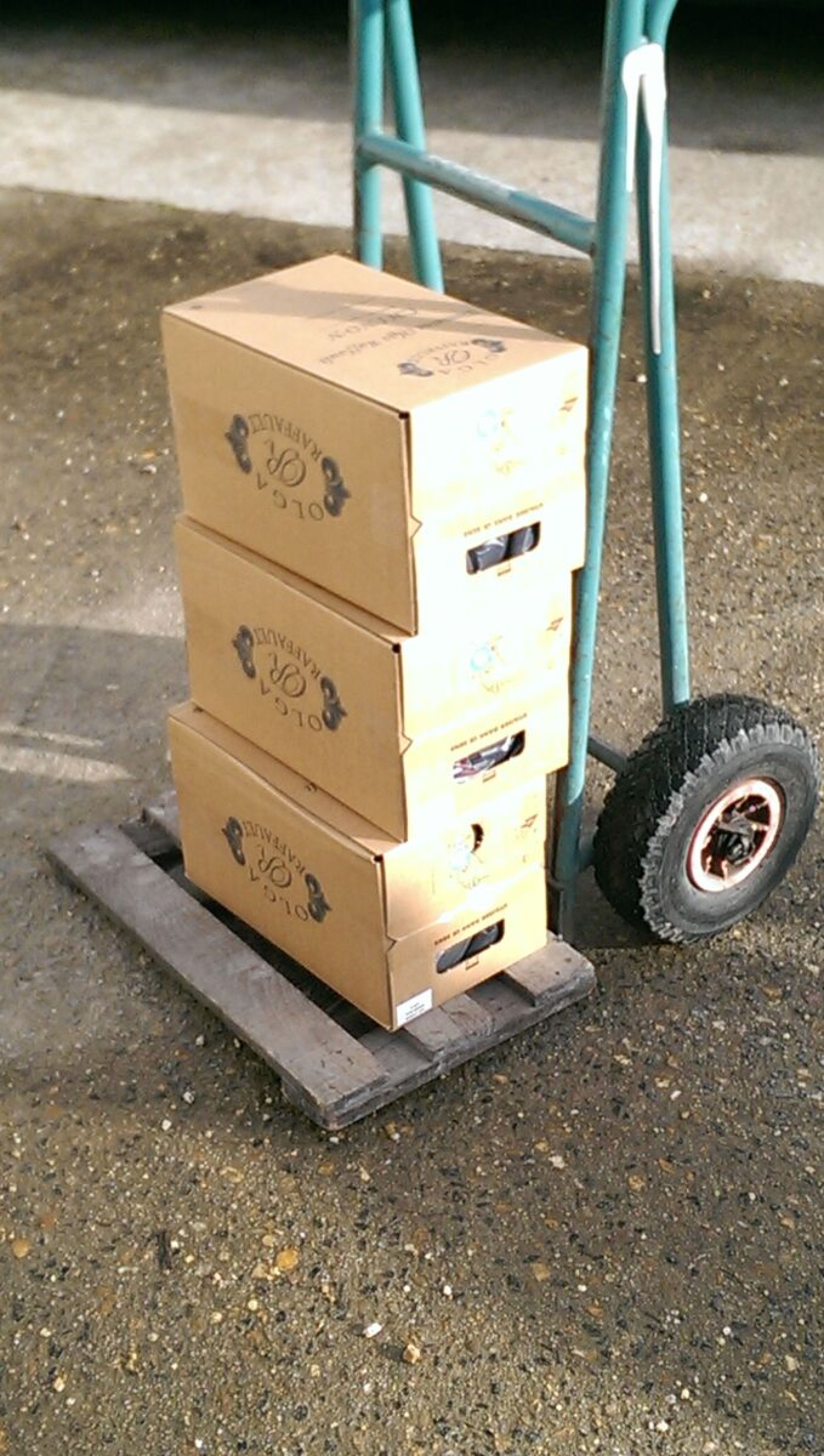 Domaine Olga Raffault | Bowler Wine