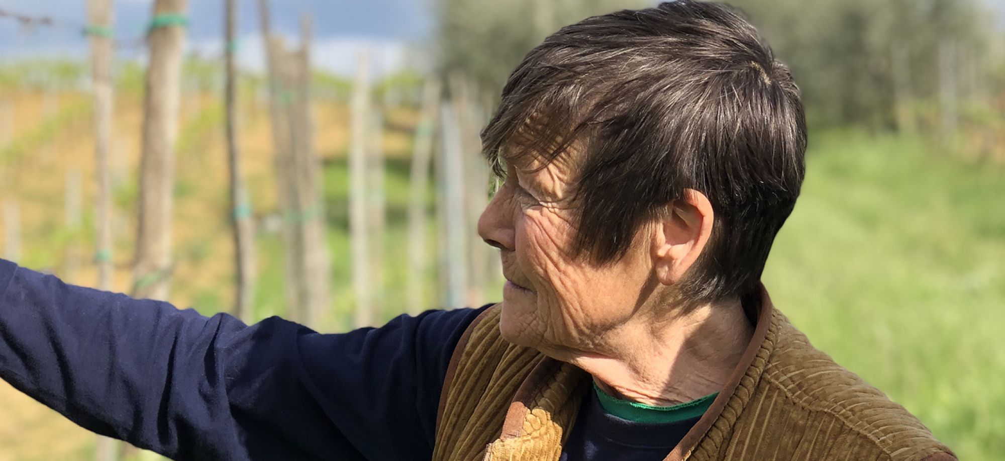 Poderi Sanguineto I & II | Bowler Wine